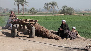 Relaxing Egyptians & Cart, Luxor, Egypt