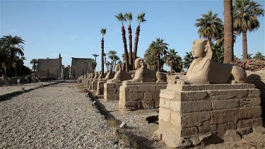 The Avenue Of Sphinxes & First Pylon, Luxor Temple , Egypt, North Africa