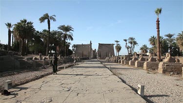 The Avenue Of Sphinxes & First Pylon, Luxor Temple , Egypt, North Africa