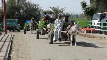 Donkeys & Carts, Nagaa El-Shaikh Abou Azouz, Egypt