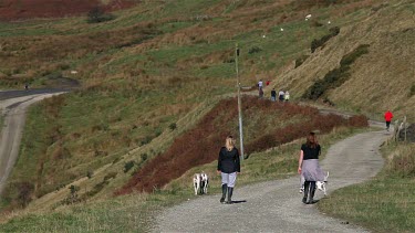 Walkers With Dalmation Dogs, Wolstenholme, Lancashire