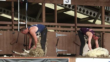 Display Of Hand Blade Shearing & Machine Shearing, The Great Yorkshire Show, North Yorkshire